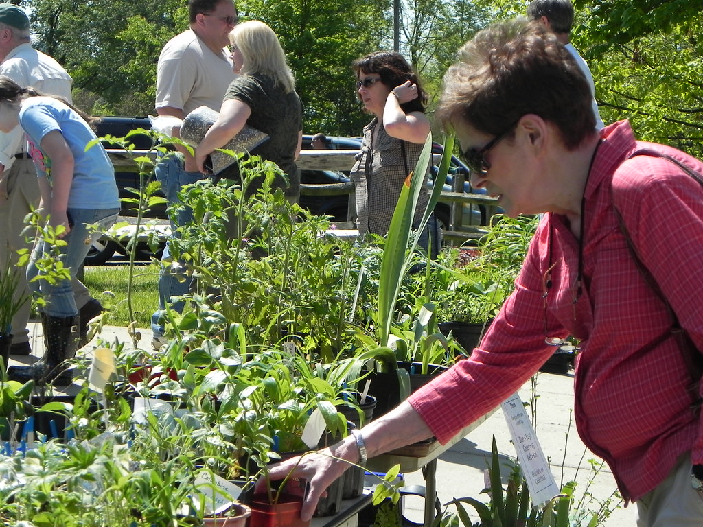 Annual Audubon Plant Sale Is May 18 News, Sports, Jobs Post Journal